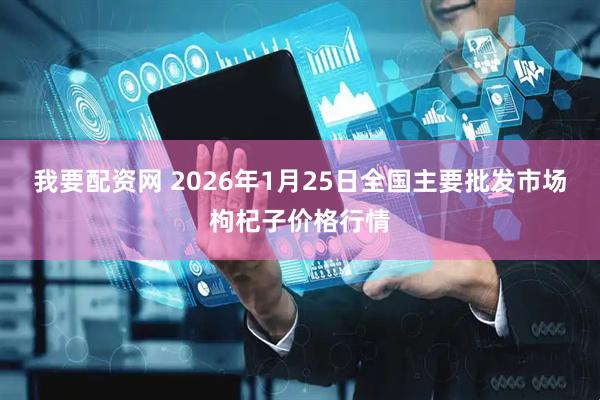 我要配资网 2026年1月25日全国主要批发市场枸杞子价格行情